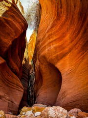 hiking trail through tall red sandstone cliffs and slot canyon of Buckskin Gulch from Wire Pass in the backcountry of southern Utah