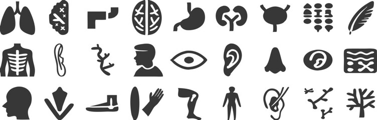 Flat Minimalist Human Anatomy and Concept Icon Set – Black and White Stylized Symbol Collection for UI and Infographics.