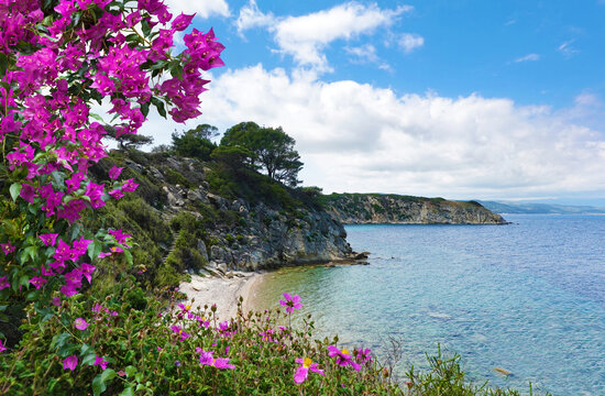 A staircase to lonesome beach in the rocky coast of Sithonia, Halkidiki, Greece with blooming bougainvillea