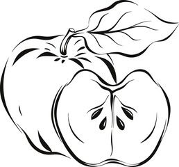 Apple illustration with slice and leaf in black and white line art