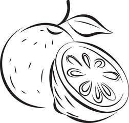 Lemon citrus fruit line art illustration with half slice and leaf