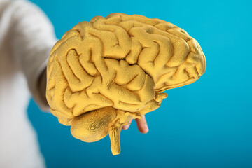 Image of a golden brain held in a hand, symbolizing intelligence, innovation, and achievement.