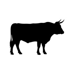 Steer cattle silhouette vector flat illustration design.