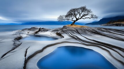 Serene landscape featuring a solitary tree on rocky terrain with blue pools and dramatic sky