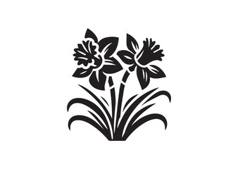 Daffodil flower Silhouette Vector