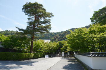 新緑の永観堂　境内の参道　京都市左京区