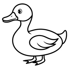 duck vector illustration