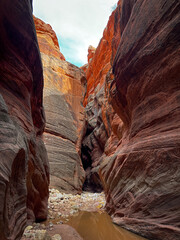 Narrow sandstone walls and dramatic light in Buckskin Gulch, one of the longest slot canyons in the...