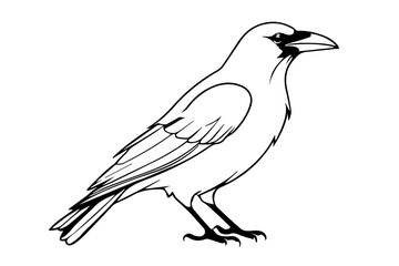 Crow black outline isolated on white or transparent background background, vector illustration.