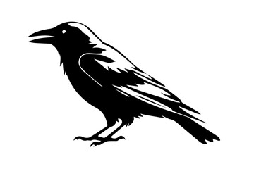 Fototapeta premium Raven black silhouette isolated on white or transparent background background, vector illustration.