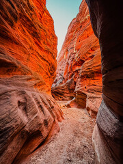 Narrow sandstone walls and dramatic light in Buckskin Gulch, one of the longest slot canyons in the Southwest.  textured rock formations and the stunning depth of this remote Utah slot canyon