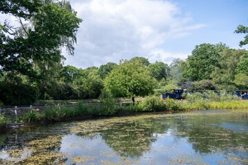 Exbury England - June 1 2025: Mariloo Steam Train passing by Dragonfly Pond Exbury Gardens New Forest Hampshire England