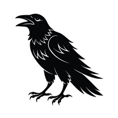 Obraz premium crow on a white background