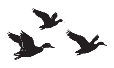 flying duck Silhouette vector illustration.