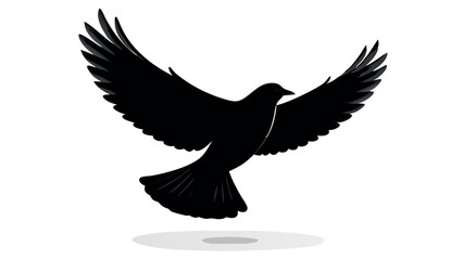 Obraz premium Shadow of a bird in flight, black silhouette on white background, freedom and elevation vector style, isolated on Transparent Background 