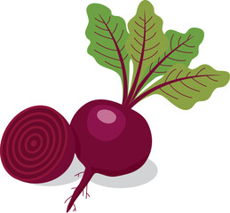 vector whole red beet root with leaves and half of beet symbols isolated on white background. icon of beetroot vegetable for healthy vegetarian food illustrations
