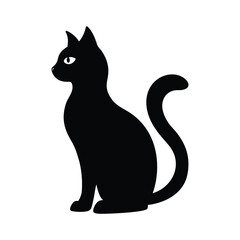 black and white cat