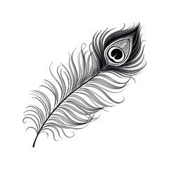 Obraz premium Ornate Black and White Peacock Feather Vector Art.