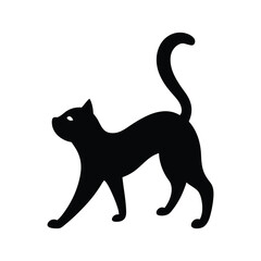 black cat on white background