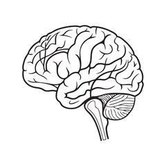 Human brain silhouette vector icon illustration isolated on white background