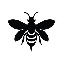 vector illustration of a bee