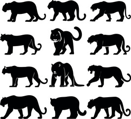 Black Panther Silhouette Set in Various Poses, a Vector Illustration