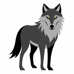 wolf isolated on white background