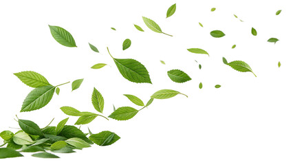 green leaves fly with a gust of wind on white background PNG. AI GENERATED