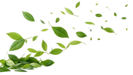 green leaves fly with a gust of wind on white background PNG. AI GENERATED