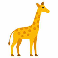 Fototapeta premium giraffe isolated on white background