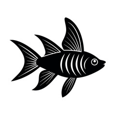 fish on a white background