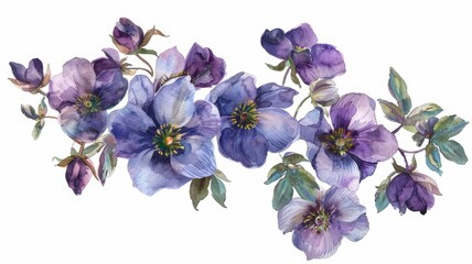 A colorful bunch of beautiful purple flowers on a bright white background