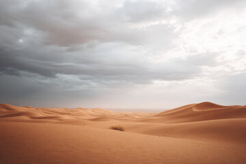 desert dune field in algeria under overcast sky emphasizing sunlight and texture