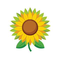 sunflower vector illustration