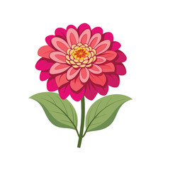 pink dahlia flower