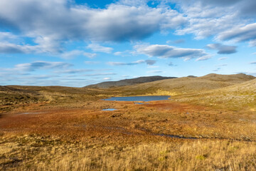 Arctic tundra landscape in warm autumn colors near North Cape, Norway. Golden grass, hills, and a small lake under a dramatic blue sky wit clouds, peaceful wilderness in late-season light