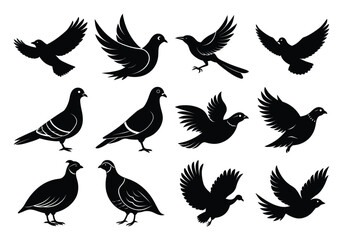 vector Silhouettes of Flying and Standing Birds Including Pigeons and Doves on white background