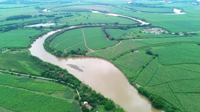 4K aerial drone video showing the Cauca River winding through vast sugarcane plantations in Colombia
