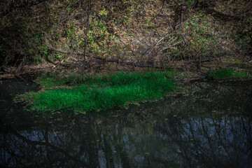autumn river in the countryside