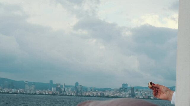 The free wings of Istanbul in action! The moment a seagull masterfully snatches a simit (or food) offered from a hand in mid-air. Capture this iconic and dynamic moment against the city skyline.
