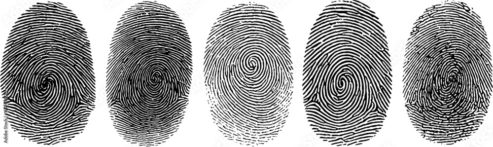 Wall mural engraved fingerprint pattern collection for security and design projects
