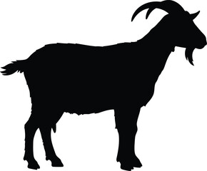 A stark silhouette of a proud goat stands confidently against the simple canvas, its majestic horns and distinctive beard creating a striking, graphic image of rustic farm animal.
