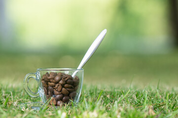 Clear coffee cup filled with coffee beans outdoors with space for text around it