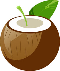 illustration of coconut
