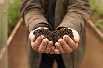 Application of organic fertilizer in organic farming.  Fragment of a man (male hands) with a handful of compost in his palms close-up inside a greenhouse.