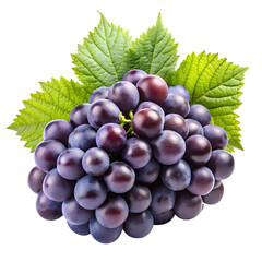 Fototapeta premium grapes isolated on white background