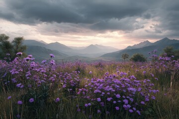 Obraz premium Purple flowers field with mountains on white background