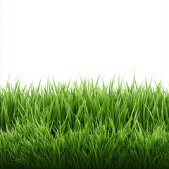 Fresh Green Grass Background , PNG isolated cut out image