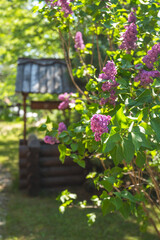 Beautiful lilac blossoms add vibrant color to a tranquil garden scene, with a charming wooden well in the soft-focus background, creating a picturesque summer setting
