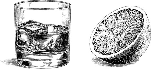 Classic negroni cocktail and orange slice engraved art for beverage design